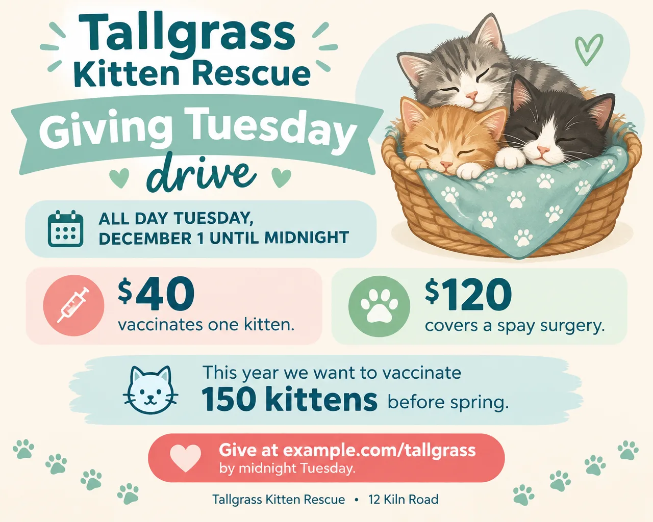 Wide pastel animal rescue flyer for Giving Tuesday with cartoon kittens and the line $40 vaccinates one kitten