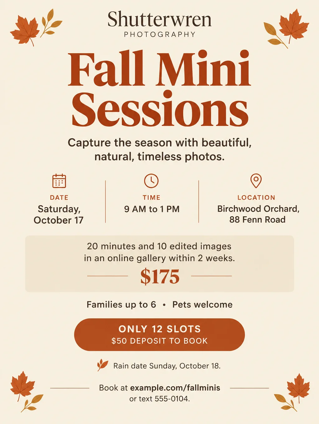 Fall mini session flyer in rust and cream with small autumn leaves, the date October 17, $175 and 12 slots