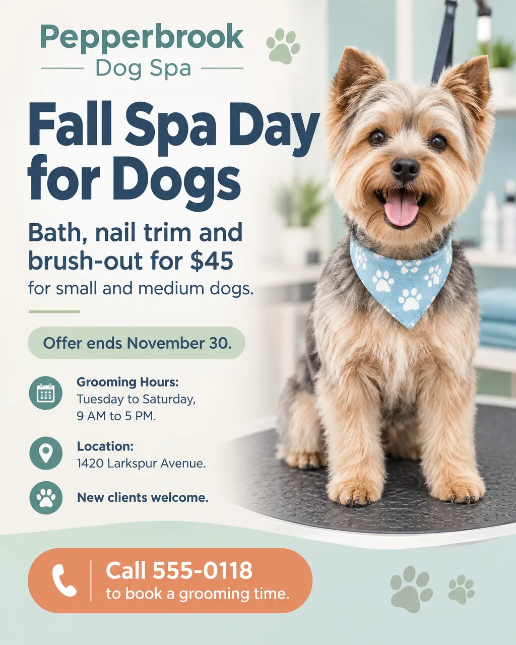 Dog grooming flyer in soft pastels with a photo of a groomed terrier, Fall Spa Day for Dogs, $45, call 555-0118